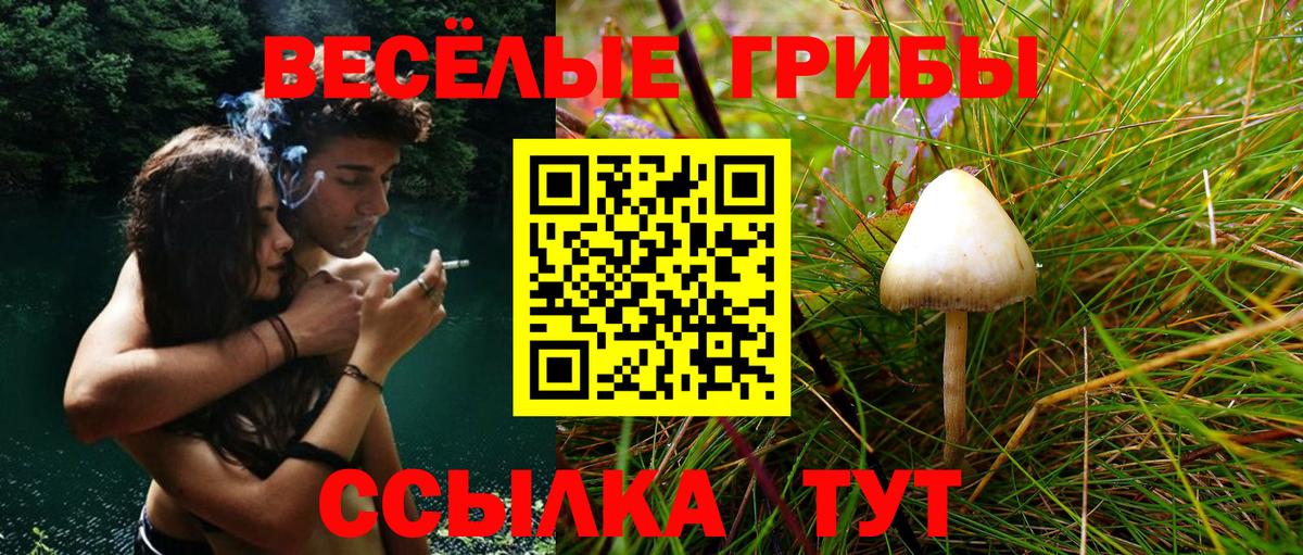 Галлюциногенные грибы Psilocybe  Вход с VPN  Уфа  Псилоцибиновые грибы Psilocybe 